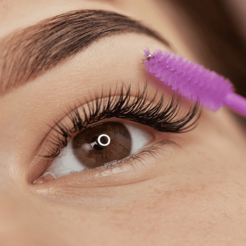 Tint Eyebrow - 10  Mins
